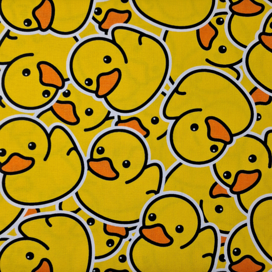 Fabric Sample 25